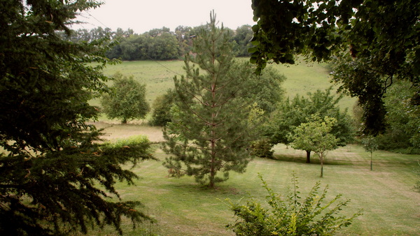 La Bastida : Verger / Orchard